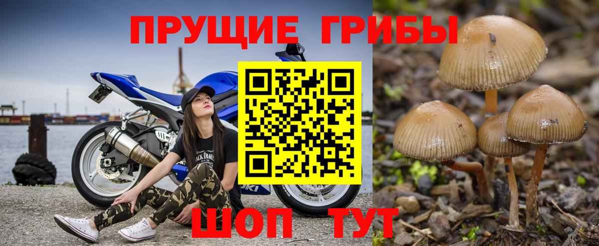 Псилоцибиновые грибы Magic Shrooms Красноперекопск